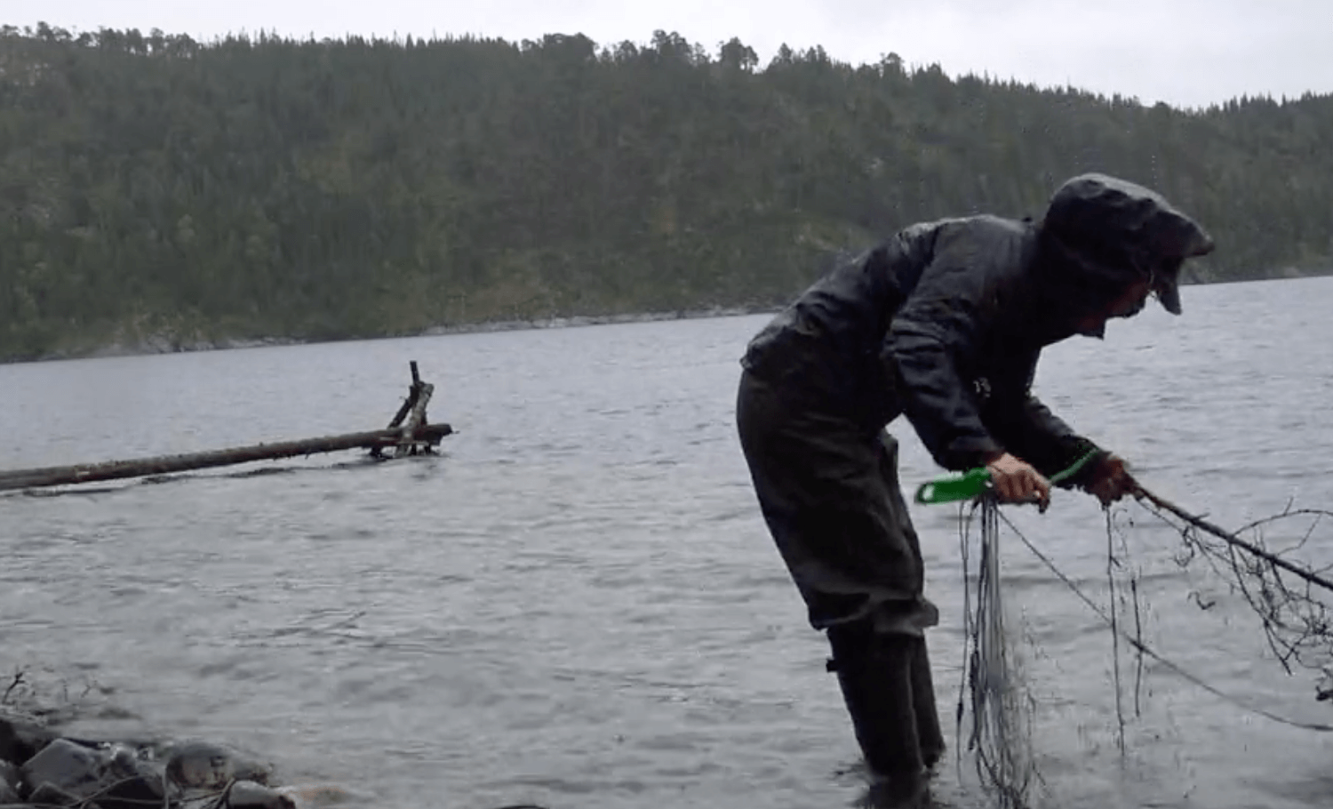 Fiskeri i regnvejr