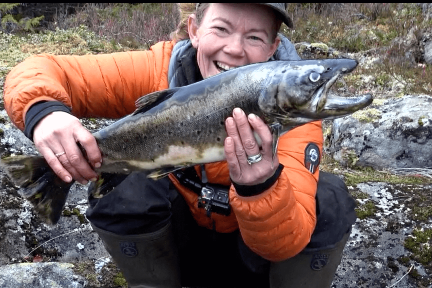 Kæmpe fisk