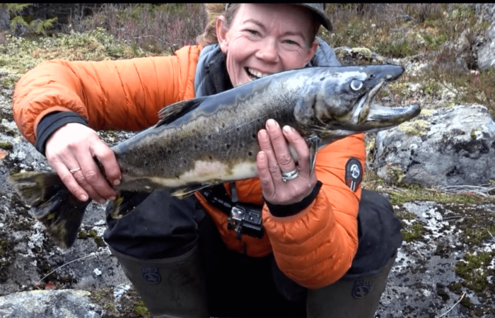 Kæmpe fisk