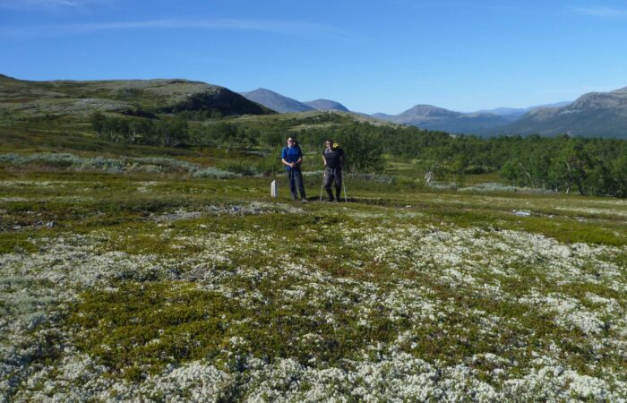 Fjeldkursusus i Norge