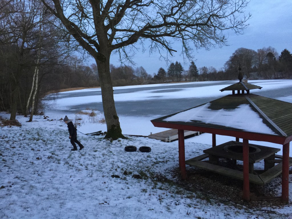 Dæktræk 20