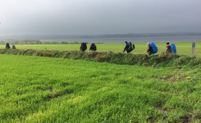 Ærø vandring