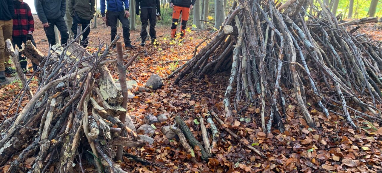 Ly af naturens materialer