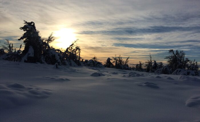 Solnedgang Fagerhøi