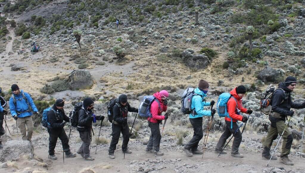 Kilimanjaro-gruppevandring